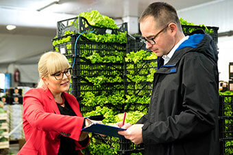 Salad production